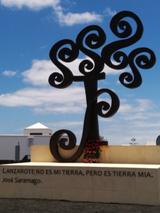 Olivo 18-06-14