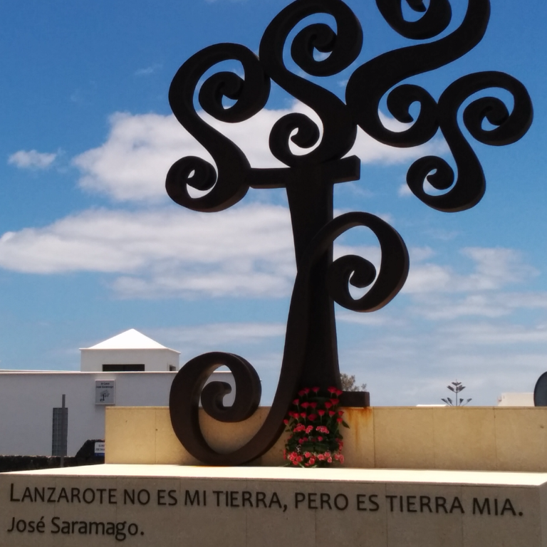 Olivo 18-06-14